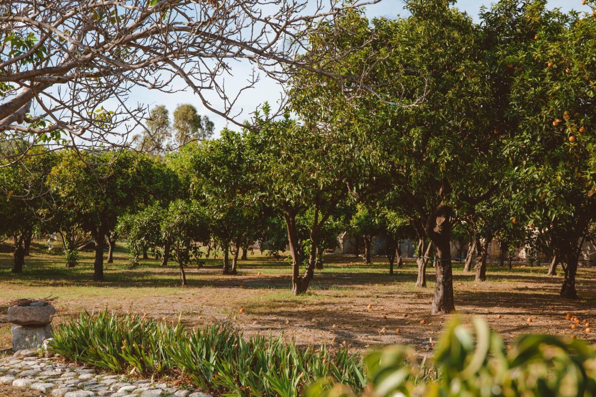 Agriturismo Villa Vittoria Guardavalle Buitenkant foto
